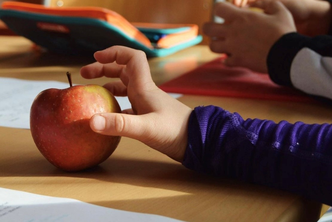 Bildungsarbeit des krumm & schepp e.V. - Symbolbild Kinderhand mit Apfel