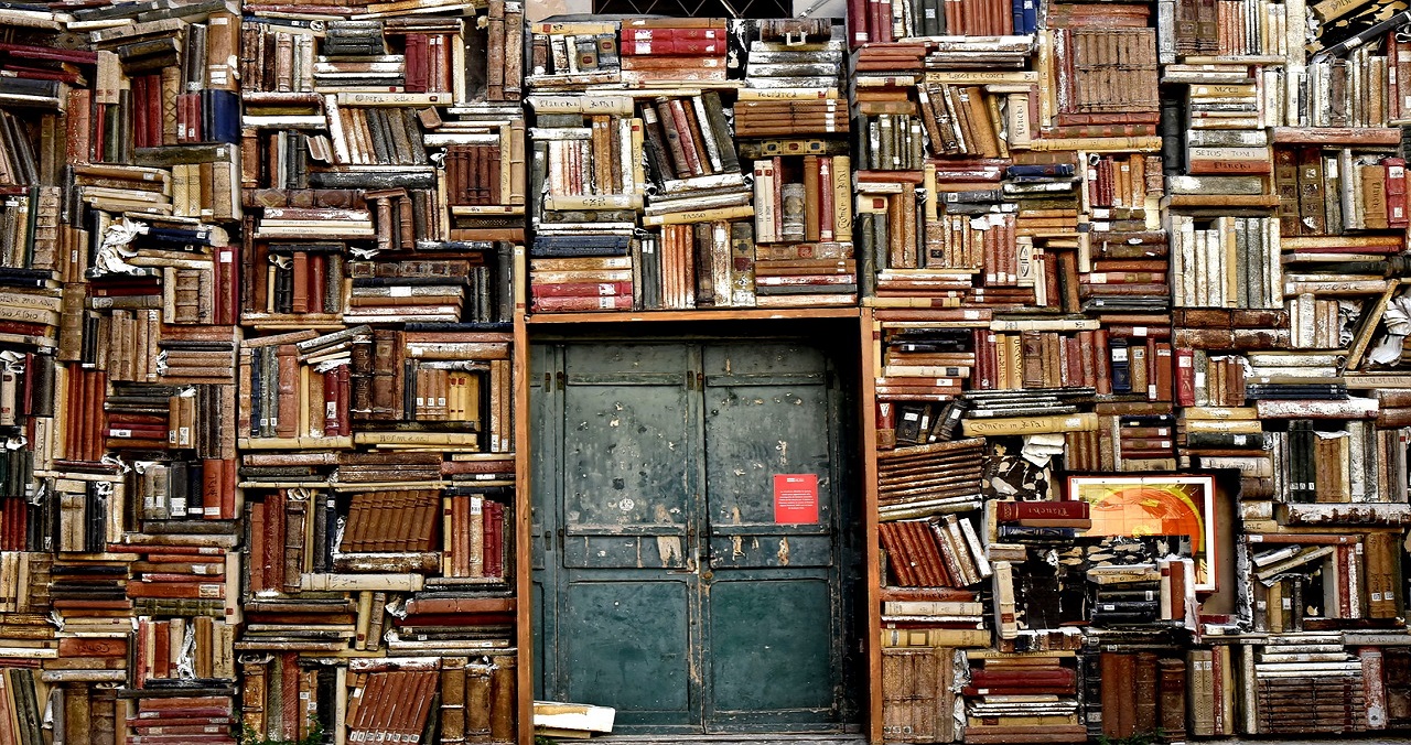 Eine Wand voller Bücher. In der Bildmitte eine ungeöffnete Tür.